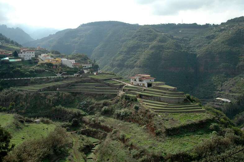 La visita se repetirá los próximos 2, 9 y 11 de mayo (Foto TA)
