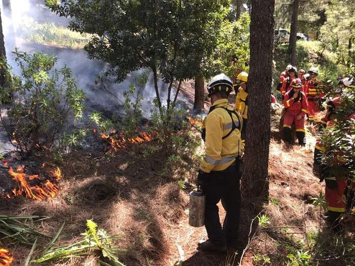  Gran Canaria es uno de los lugares de Europa más complicados para luchar contra el fuego y su personal ha alcanzado una alta especialización (Foto TA)