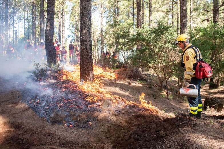 El fuego controlado es útil tanto en labores de prevención como para la extinción de incendios, lo que precisa una gran experiencia en su manejo (Foto TA)
