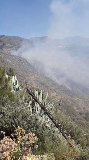 Imagen del humo generado por el incendio (Foto TA)