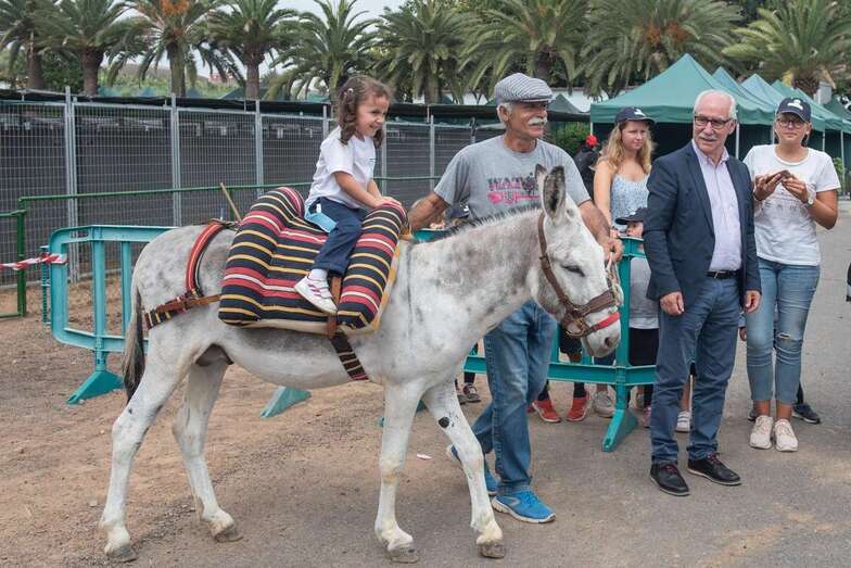 Los menores participaron en paseos en burros y exhibiciones de trilla, arrastre de ganado, ordeño y trasquiladas (Foto TA)