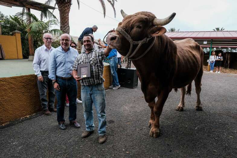 Los dos ejemplares se alzaron con los primeros premios de vacuno del país en la última jornada de esta fiesta del sector primario (Foto TA)