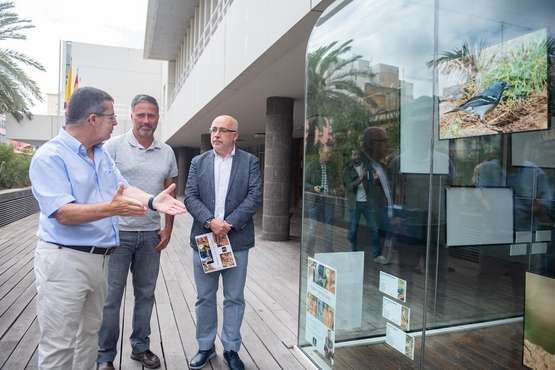  Una exposición fotográfica muestra en la fachada del Cabildo el esplendor de la fauna avícola de Gran Canaria (Foto TA)