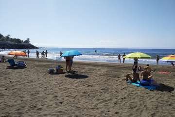 La presencia de un tiburón alarma a los bañistas en la playa de Las Burras (Foto TA)
