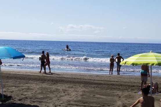 La presencia de un tiburón alarma a los bañistas en la playa de Las Burras (Foto TA)