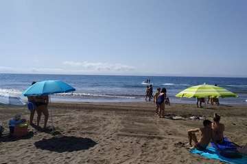 La presencia de un tiburón alarma a los bañistas en la playa de Las Burras (Foto TA)