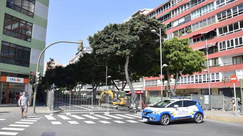 Imagen de archivo de la Avenida Mesa y López (Foto Canarias7)