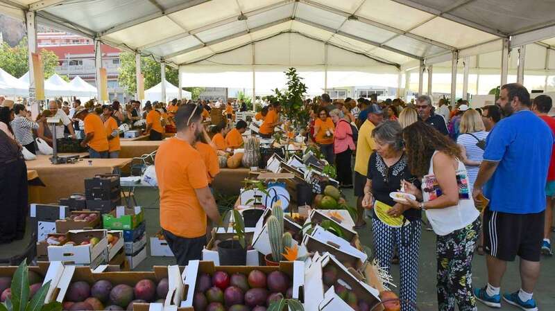 Es requisito indispensable que los productos sean de Mogán (Foto TA)
