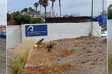 Imagen de la actuación en San Cristóbal