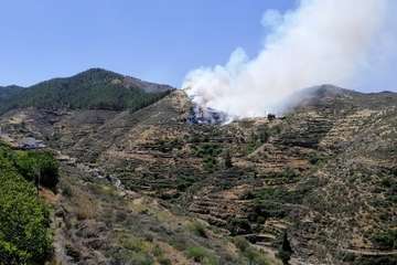 Nuevo incendio en la cumbre grancanaria (Foto TA y EFE)