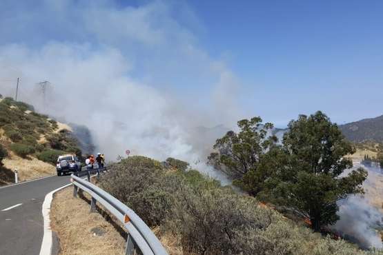 Nuevo incendio en la cumbre grancanaria (Foto TA y EFE)