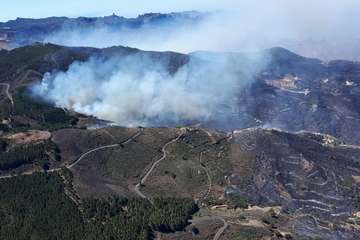 Nuevo incendio en la cumbre grancanaria (Foto TA y EFE)