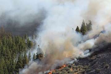 Nuevo incendio en la cumbre grancanaria (Foto TA y EFE)