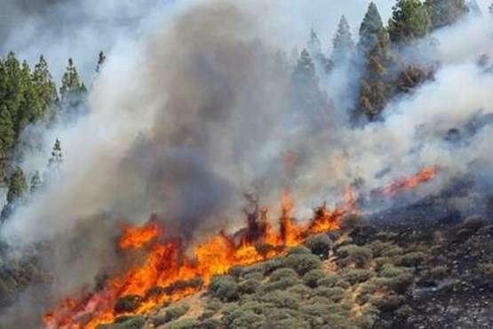 Nuevo incendio en la cumbre grancanaria (Foto TA y EFE)