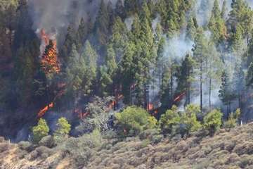 Nuevo incendio en la cumbre grancanaria (Foto TA y EFE)