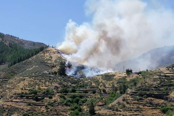 Nuevo incendio en la cumbre grancanaria (Foto TA y EFE)