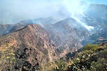 Nuevo incendio en la cumbre grancanaria (Foto TA y EFE)