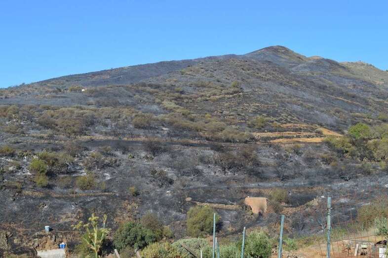 Zona afectada por el último incendio ocurrido días atrás en Cazadores (Foto TA)