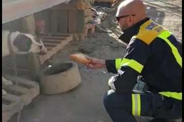 Imágenes del incendio de Gran Canaria durante la jornada de este martes 20 de agosto (Foto TA y otros)