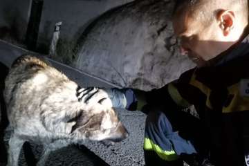Imágenes del incendio de Gran Canaria durante la jornada de este martes 20 de agosto (Foto TA y otros)
