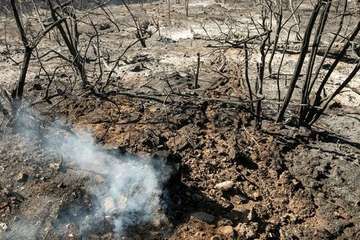 Imágenes de la quinta jornada del incendio de la cumbre grancanaria (Foto TA, Jesús Ruiz Mesa, C7, Acfi Press y CA)