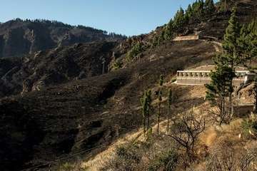 Imágenes de la quinta jornada del incendio de la cumbre grancanaria (Foto TA, Jesús Ruiz Mesa, C7, Acfi Press y CA)