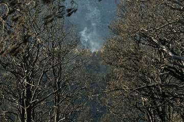 Imágenes de la quinta jornada del incendio de la cumbre grancanaria (Foto TA, Jesús Ruiz Mesa, C7, Acfi Press y CA)