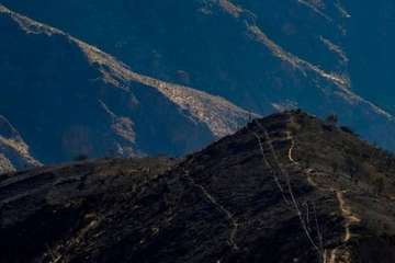 Imágenes de la quinta jornada del incendio de la cumbre grancanaria (Foto TA, Jesús Ruiz Mesa, C7, Acfi Press y CA)