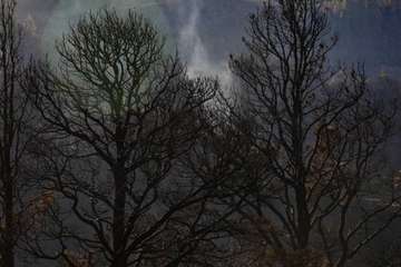 Imágenes de la quinta jornada del incendio de la cumbre grancanaria (Foto TA, Jesús Ruiz Mesa, C7, Acfi Press y CA)