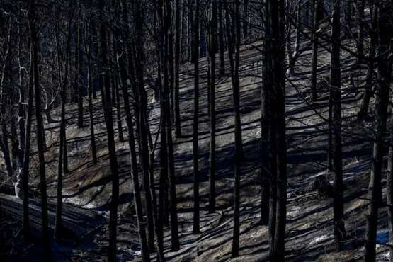 Imágenes de la quinta jornada del incendio de la cumbre grancanaria (Foto TA, Jesús Ruiz Mesa, C7, Acfi Press y CA)