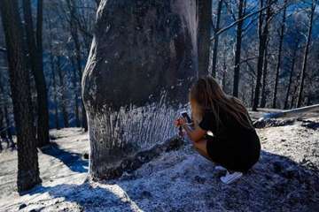 Imágenes de la quinta jornada del incendio de la cumbre grancanaria (Foto TA, Jesús Ruiz Mesa, C7, Acfi Press y CA)