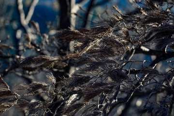 Imágenes de la quinta jornada del incendio de la cumbre grancanaria (Foto TA, Jesús Ruiz Mesa, C7, Acfi Press y CA)