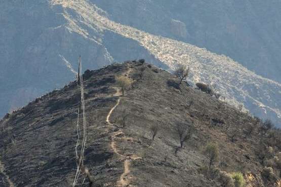 Imágenes de la quinta jornada del incendio de la cumbre grancanaria (Foto TA, Jesús Ruiz Mesa, C7, Acfi Press y CA)