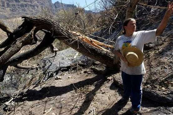 El incendio de la cumbre de Gran Canaria en su sexta jornada (Foto TA, EFE, Acfi Press y otros)