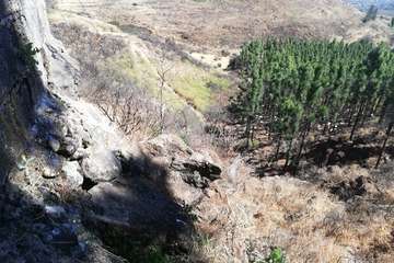 El incendio de la cumbre de Gran Canaria en su sexta jornada (Foto TA, EFE, Acfi Press y otros)