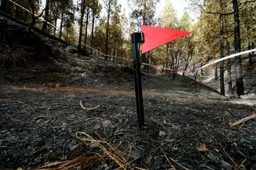 Explicación y recreación de la investigación de causas de incendios forestales (Foto TA)