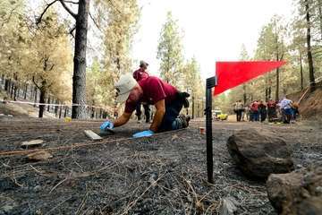 Explicación y recreación de la investigación de causas de incendios forestales (Foto TA)