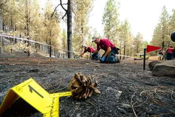 Explicación y recreación de la investigación de causas de incendios forestales (Foto TA)