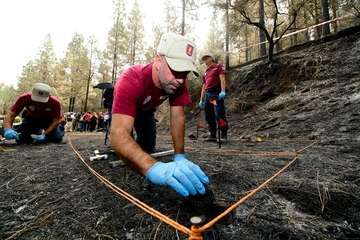Explicación y recreación de la investigación de causas de incendios forestales (Foto TA)
