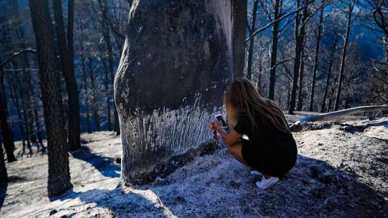 Una joven comprueba los efectos del incendio (Foto TA)