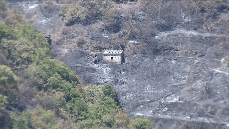 Imagen de una zona devastada por el incendio de Valleseco (Foto TA)