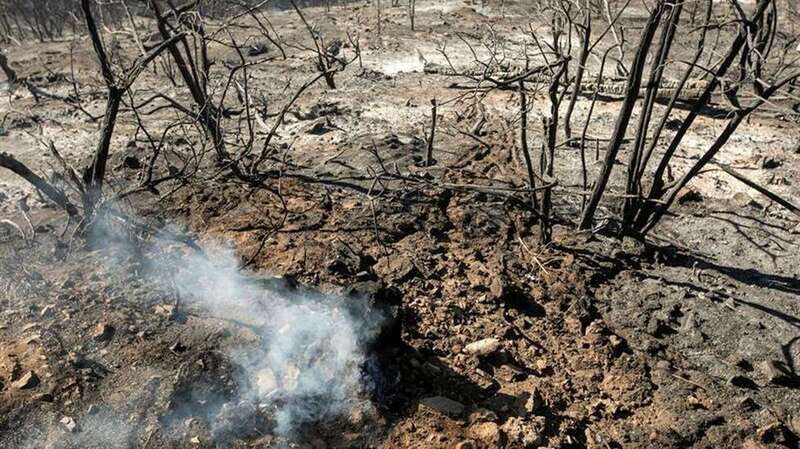 Zona afectada por el último incendio de Gran Canaria (Foto TA)