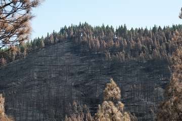 El jefe de Emergencias del Cabildo de Gran Canaria, Federico Trillo, explicó este jueves el desarrollo del último fuego que afectó a la Isla (Foto TA)