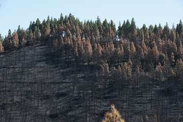 El jefe de Emergencias del Cabildo de Gran Canaria, Federico Trillo, explicó este jueves el desarrollo del último fuego que afectó a la Isla (Foto TA)