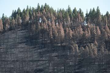 El jefe de Emergencias del Cabildo de Gran Canaria, Federico Trillo, explicó este jueves el desarrollo del último fuego que afectó a la Isla (Foto TA)