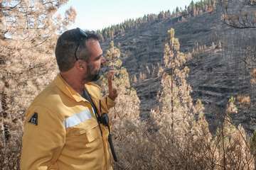 El jefe de Emergencias del Cabildo de Gran Canaria, Federico Trillo, explicó este jueves el desarrollo del último fuego que afectó a la Isla (Foto TA)