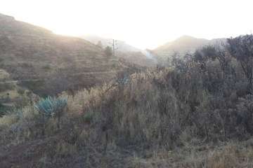  Conato de incendio entre Las Lagunetas y la Cruz de Tejeda (Foto TA)