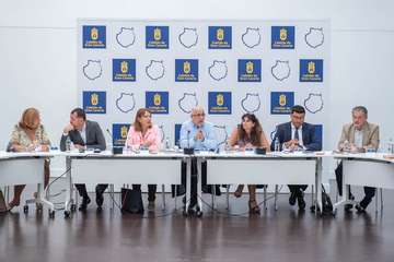 Reunión del Cabildo con representantes de los municipios afectados por los incendios (Foto TA)