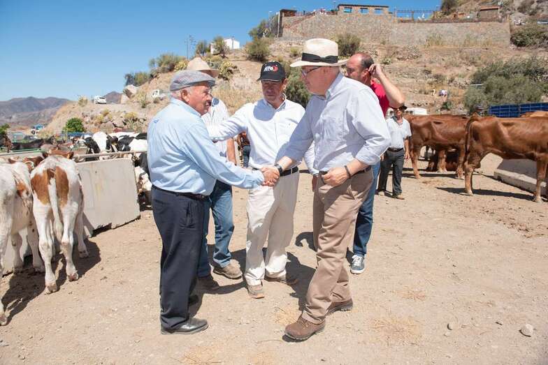 Los ayuntamientos de Gran Canaria han recibido ya casi 500 solicitudes por daños, 170 de ellas en Tejeda (Foto TA)