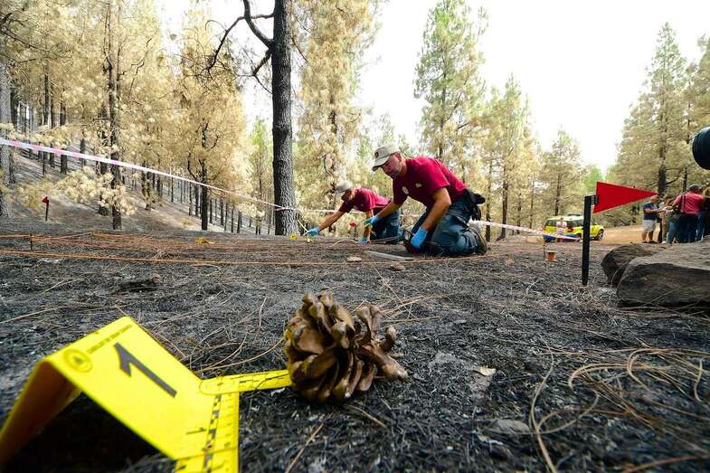 Efectivos de la Brigada de Investigación de Incendios Forestales (BIIF) del Cabildo trabajando sobre el terreno (Foto TA)